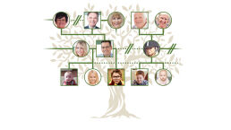 The Tangled Stepfamily Tree