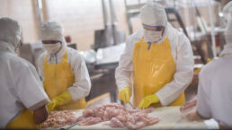 Protect Yourself From Foodborne Illness