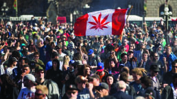 Legalizing Marijuana? Oh, Canada!