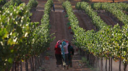 Jordan to Reclaim Israeli-Run Farms