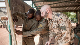 German Military Bases in Africa: Preparing the Whirlwind