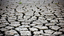 Australian Drought Reaches Crisis Point