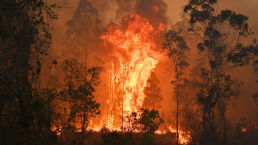 Catastrophic Fires Sweep Australia’s East Coast