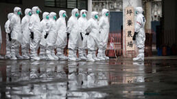 Asia Overwhelmed by Four ‘Plagues’