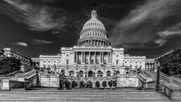 Headline 2025: Pedophiles Rally at Capitol