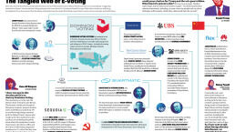 The Tangled Web of E-Voting