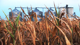 America’s Corn Belt Is Losing Its Topsoil