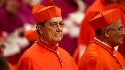 Cardinal Calls for Borderless World