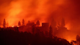 Federal Agency Deletes Data to Make It Seem Global Warming Causes Wildfires