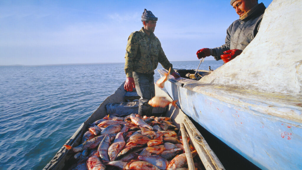 Once Dead Sea Returns to Life