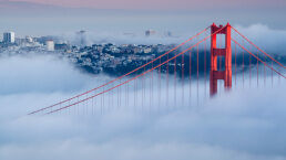 San Francisco: A Case Study in Decadence